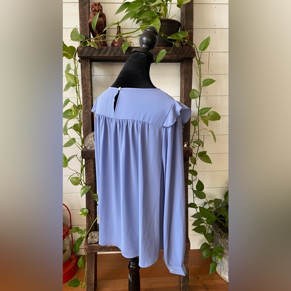 Loft: Blue Blouse with Ruffle Trim and  Embroidered Cutout - Picture 10 of 17